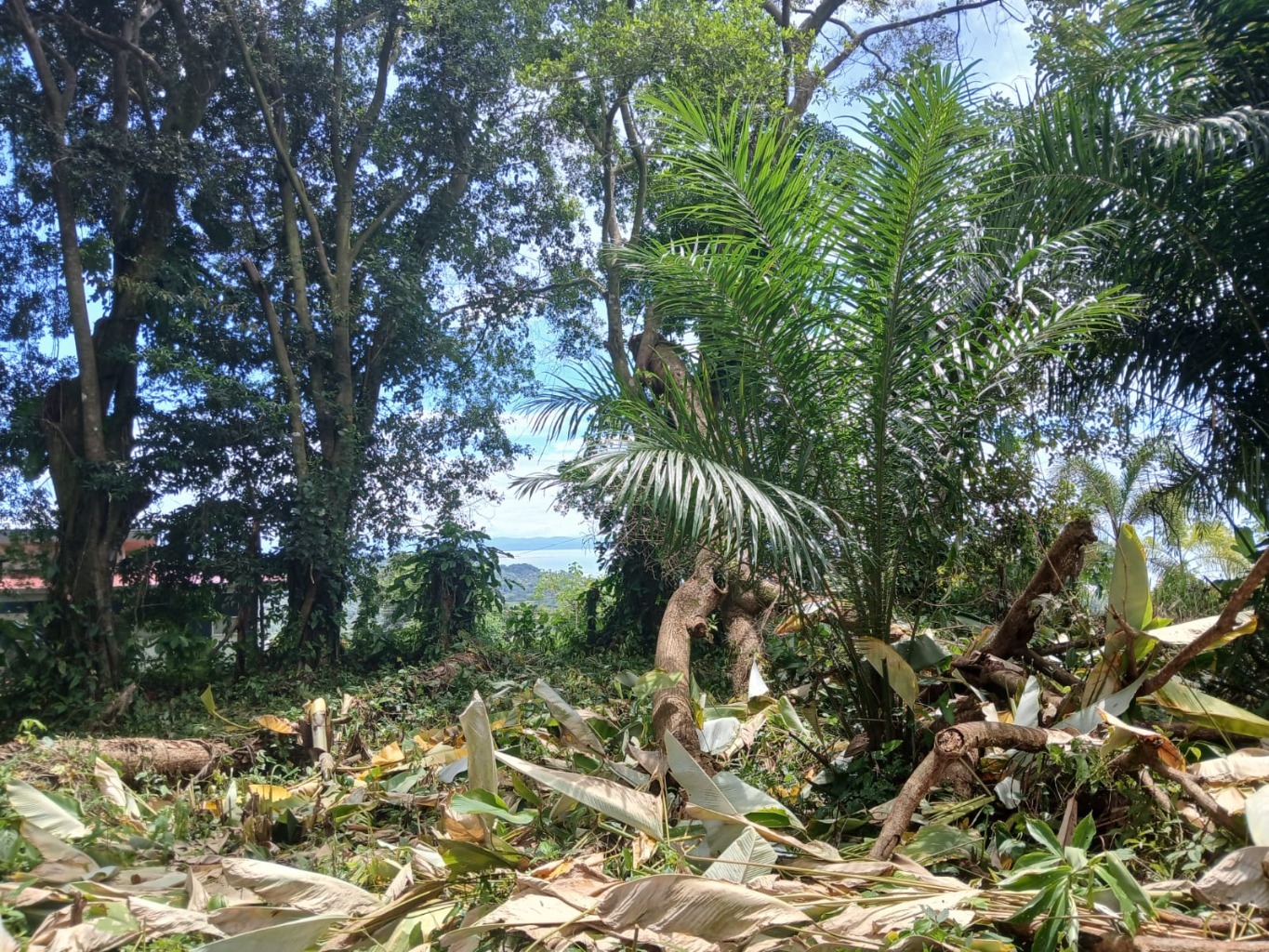 top corner fae 10 gate and ocean view