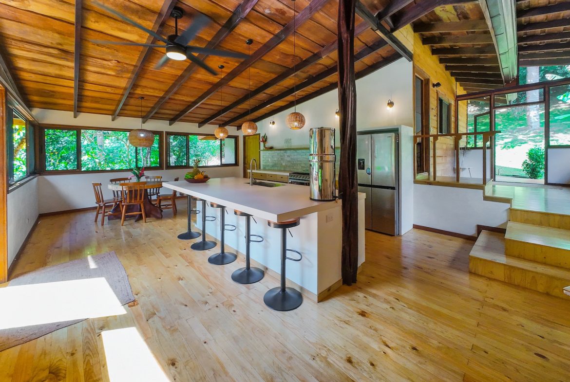 PROPERTY WITH A PRINCIPAL HOUSE AND GUEST HOUSE IN THE MIDDLE OF THE JUNGLE, IN OJOCHAL – 3.28 ACRES, Uvita, Costa Rica — photo 7