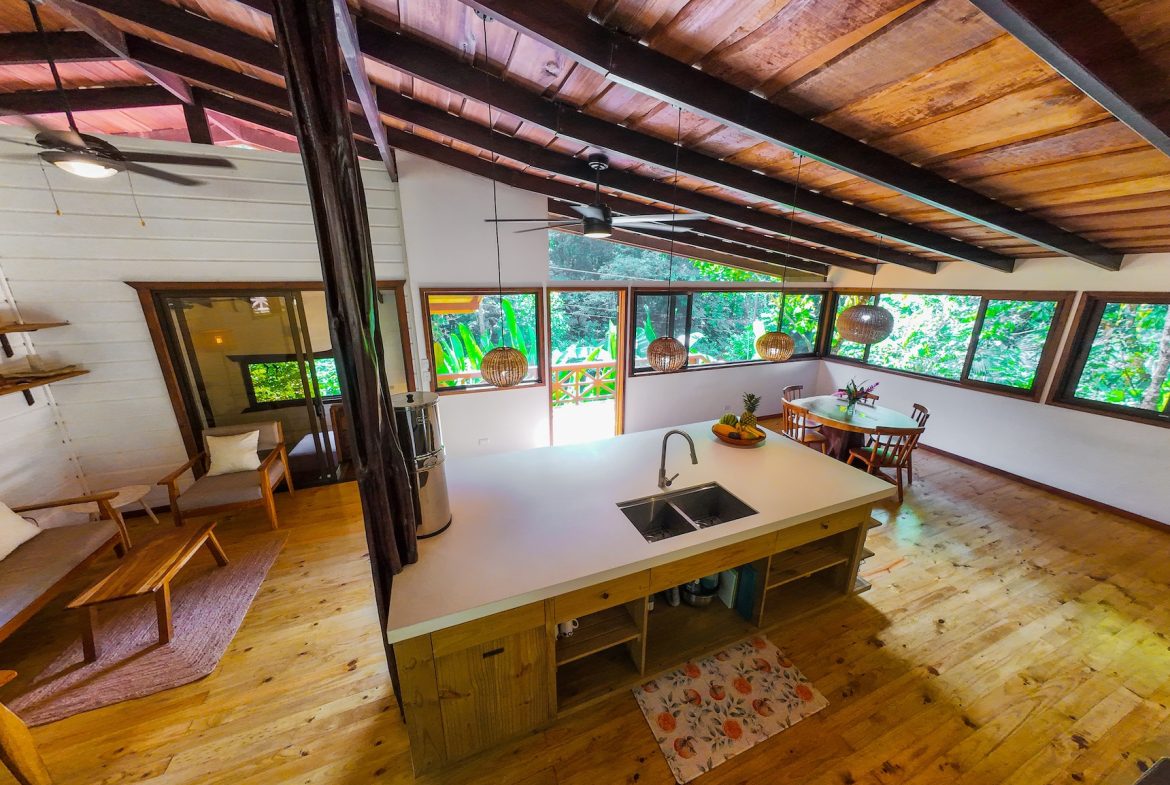 PROPERTY WITH A PRINCIPAL HOUSE AND GUEST HOUSE IN THE MIDDLE OF THE JUNGLE, IN OJOCHAL – 3.28 ACRES, Uvita, Costa Rica — photo 8