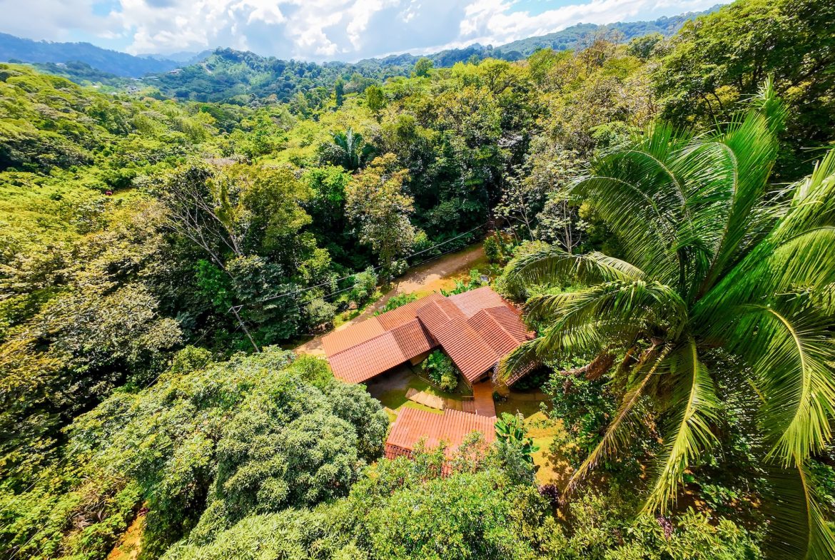 PROPERTY WITH A PRINCIPAL HOUSE AND GUEST HOUSE IN THE MIDDLE OF THE JUNGLE, IN OJOCHAL – 3.28 ACRES, Uvita, Costa Rica — photo 2