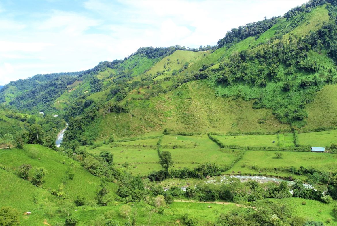 FARM DEVELOPMENT NEAR TO THE RIVER, IN SAVEGRE SAN ISIDRO – 204 ACRES