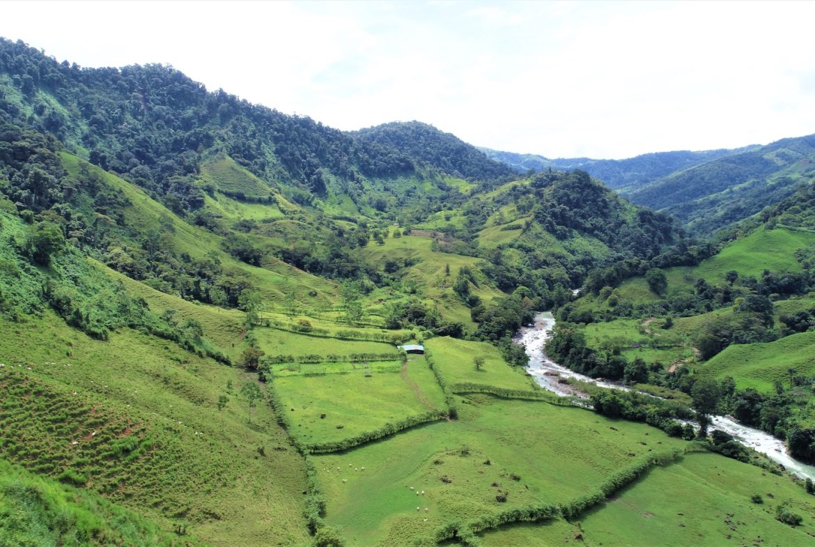 FARM DEVELOPMENT NEAR TO THE RIVER, IN SAVEGRE SAN ISIDRO – 204 ACRES