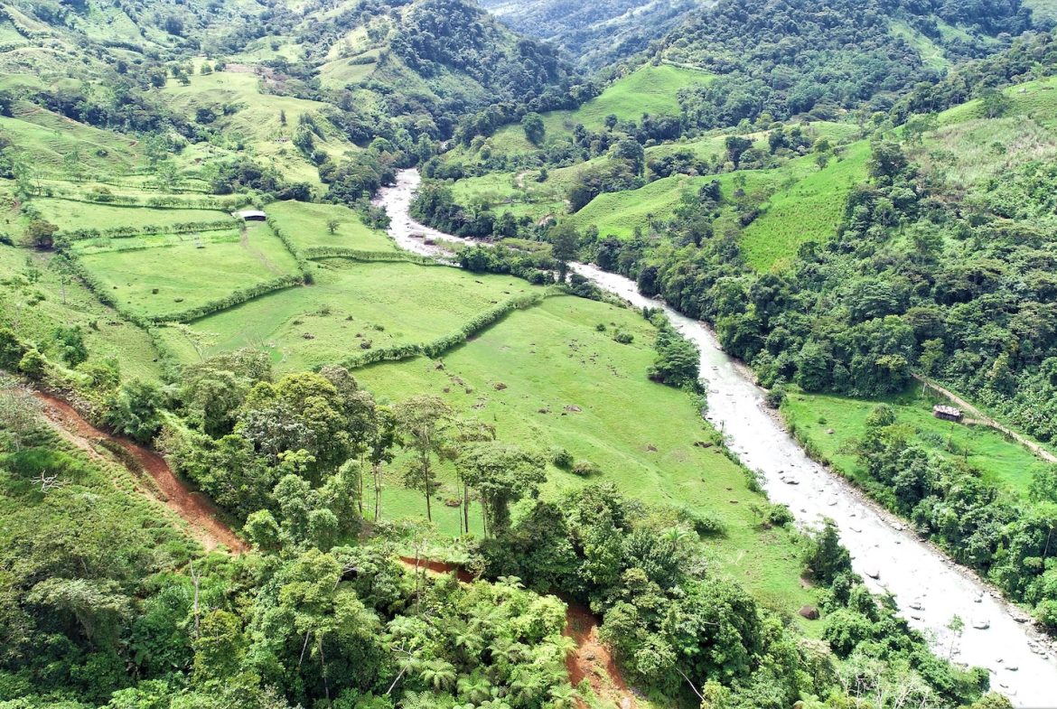 FARM DEVELOPMENT NEAR TO THE RIVER, IN SAVEGRE SAN ISIDRO – 204 ACRES