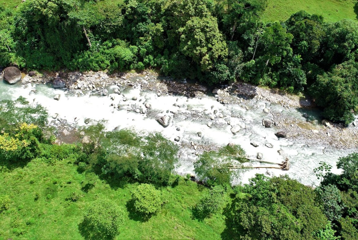 FARM DEVELOPMENT NEAR TO THE RIVER, IN SAVEGRE SAN ISIDRO – 204 ACRES