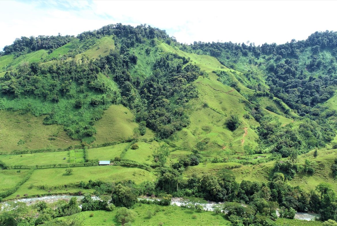 FARM DEVELOPMENT NEAR TO THE RIVER, IN SAVEGRE SAN ISIDRO – 204 ACRES