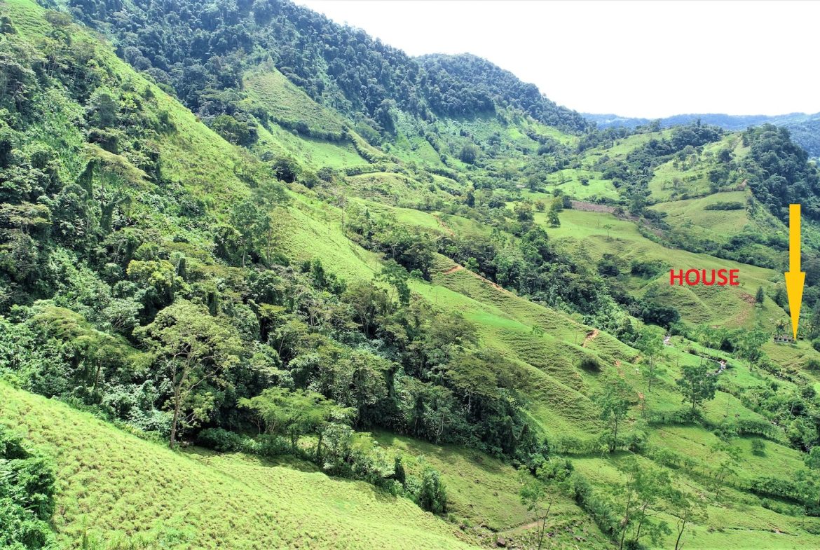 FARM DEVELOPMENT NEAR TO THE RIVER, IN SAVEGRE SAN ISIDRO – 204 ACRES