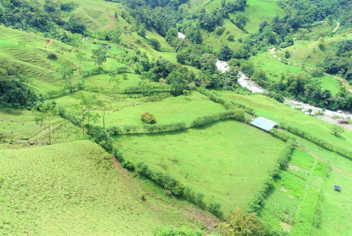 FARM DEVELOPMENT NEAR TO THE RIVER, IN SAVEGRE SAN ISIDRO – 204 ACRES