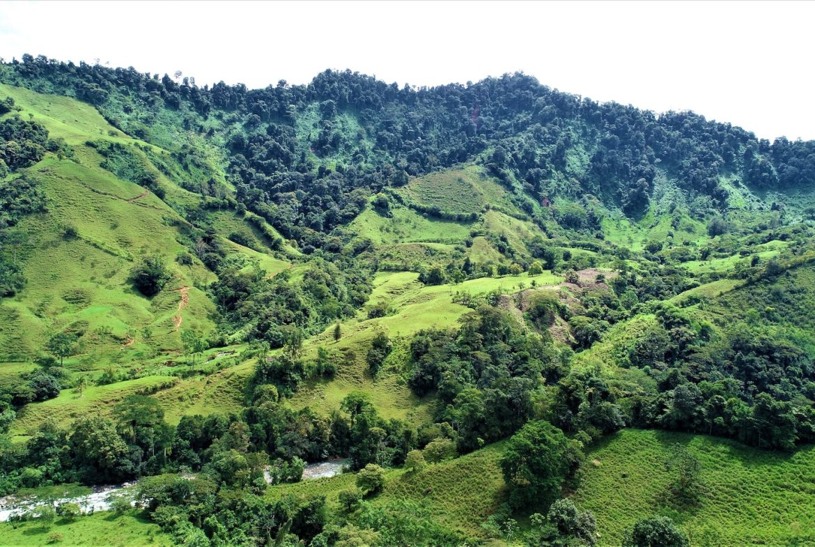 FARM DEVELOPMENT NEAR TO THE RIVER, IN SAVEGRE SAN ISIDRO – 204 ACRES
