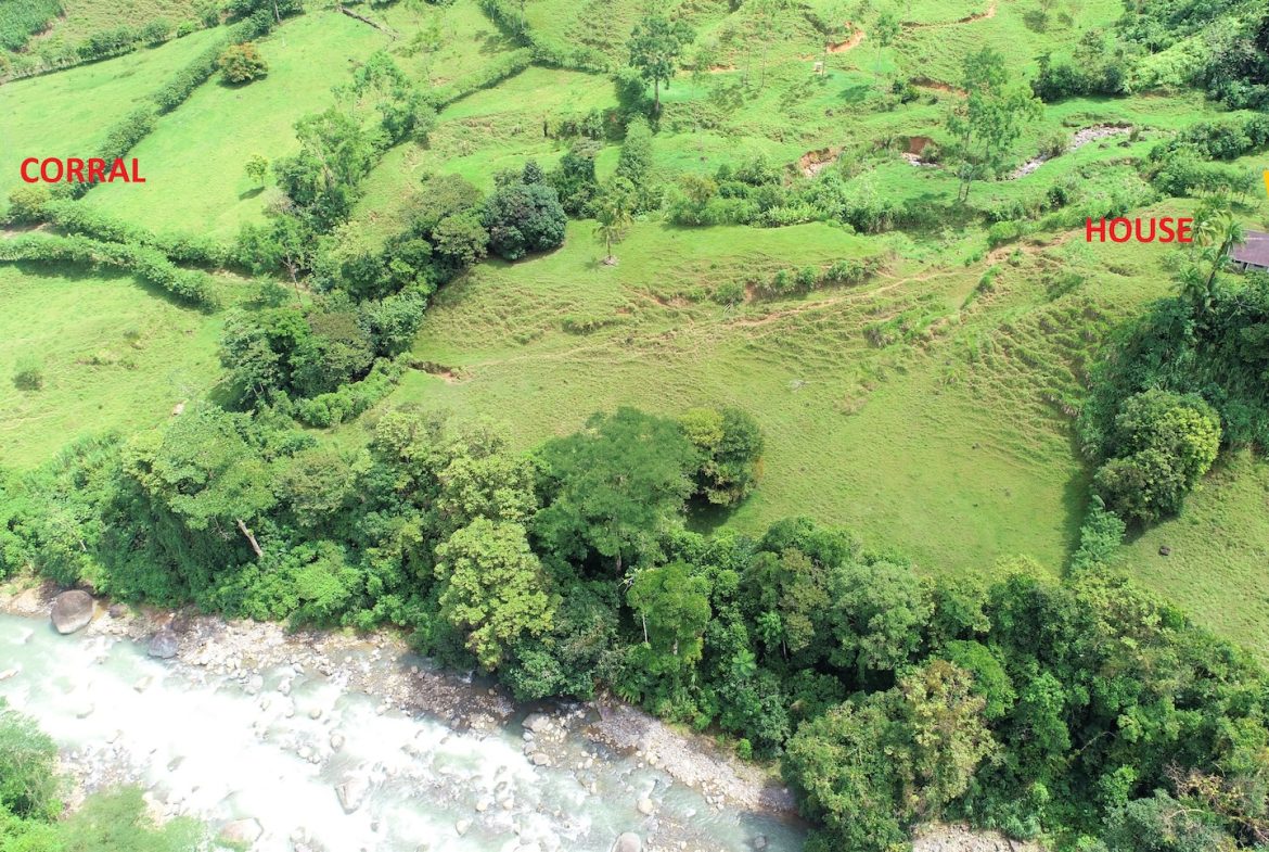 FARM DEVELOPMENT NEAR TO THE RIVER, IN SAVEGRE SAN ISIDRO – 204 ACRES