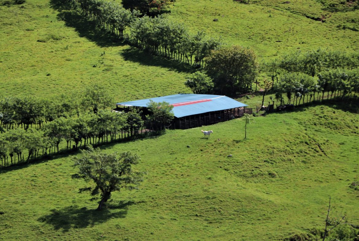 FARM DEVELOPMENT NEAR TO THE RIVER, IN SAVEGRE SAN ISIDRO – 204 ACRES