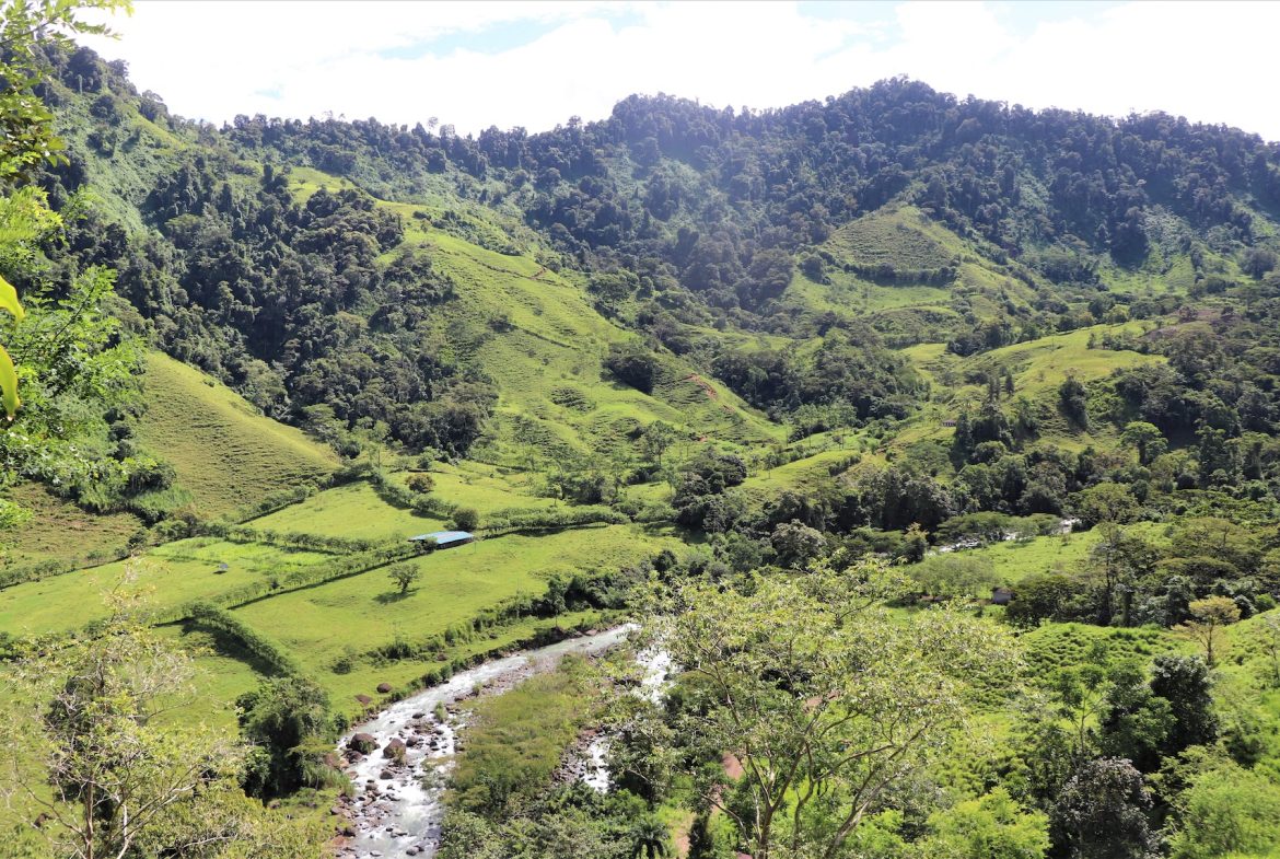 FARM DEVELOPMENT NEAR TO THE RIVER, IN SAVEGRE SAN ISIDRO – 204 ACRES