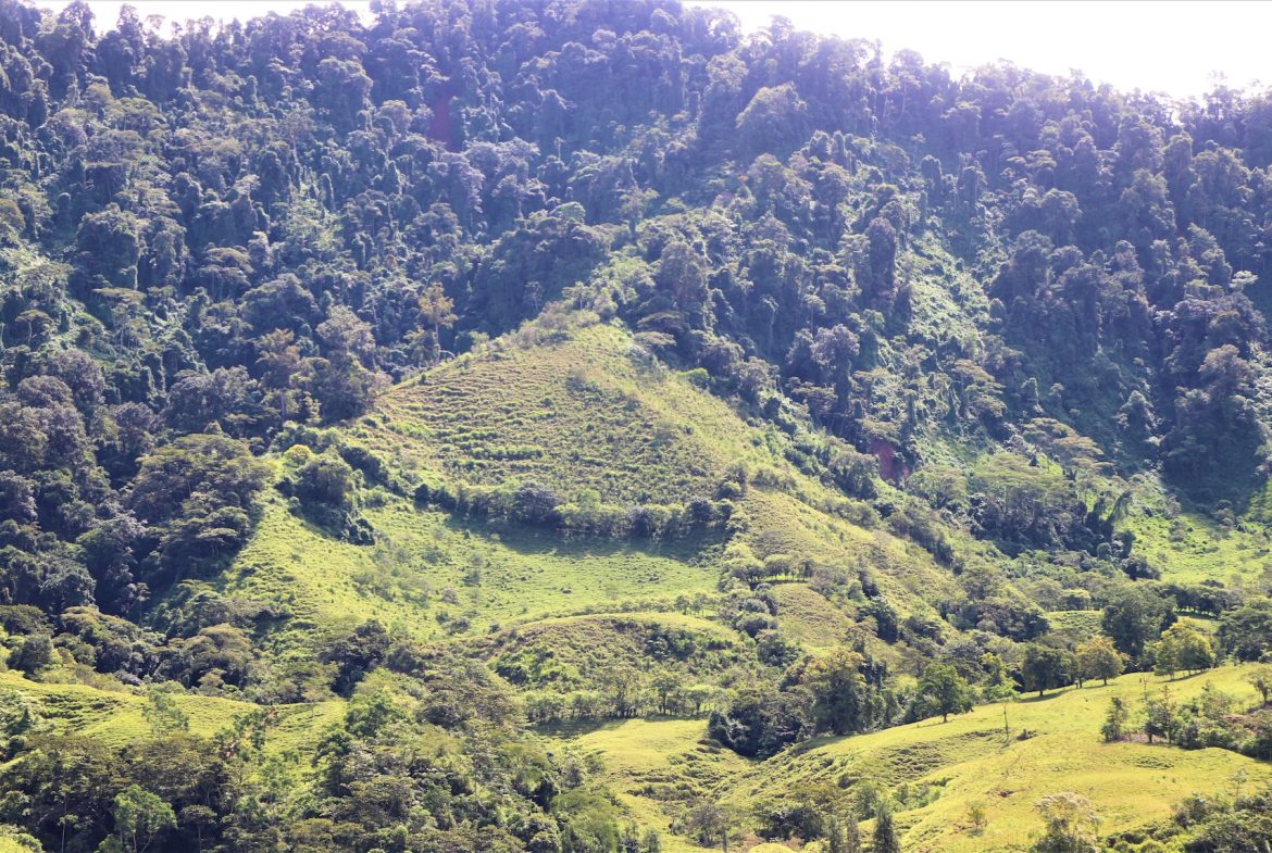 FARM DEVELOPMENT NEAR TO THE RIVER, IN SAVEGRE SAN ISIDRO – 204 ACRES