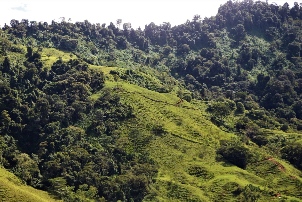 FARM DEVELOPMENT NEAR TO THE RIVER, IN SAVEGRE SAN ISIDRO – 204 ACRES