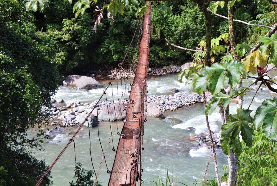 FARM DEVELOPMENT NEAR TO THE RIVER, IN SAVEGRE SAN ISIDRO – 204 ACRES