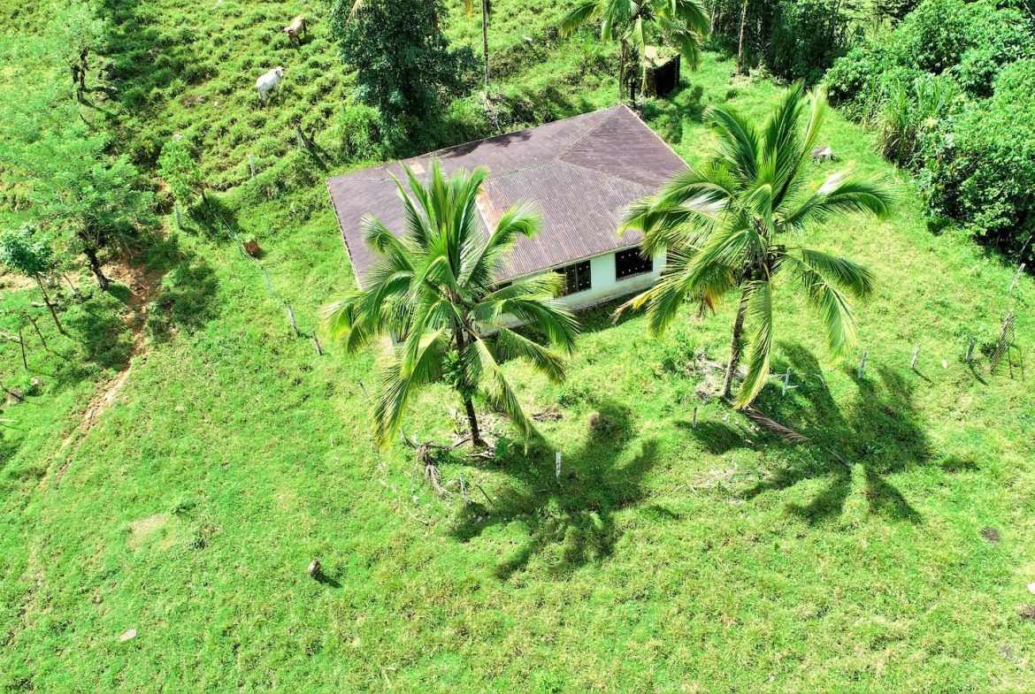 FARM DEVELOPMENT NEAR TO THE RIVER, IN SAVEGRE SAN ISIDRO – 204 ACRES