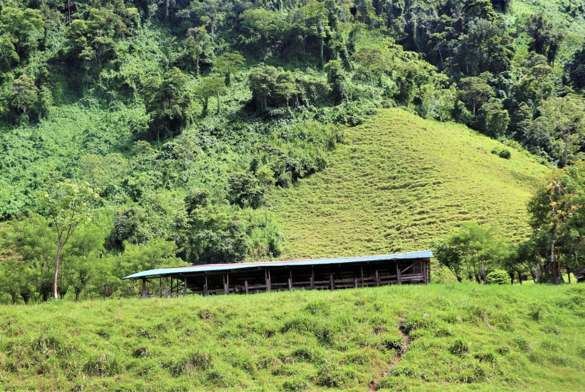 FARM DEVELOPMENT NEAR TO THE RIVER, IN SAVEGRE SAN ISIDRO – 204 ACRES