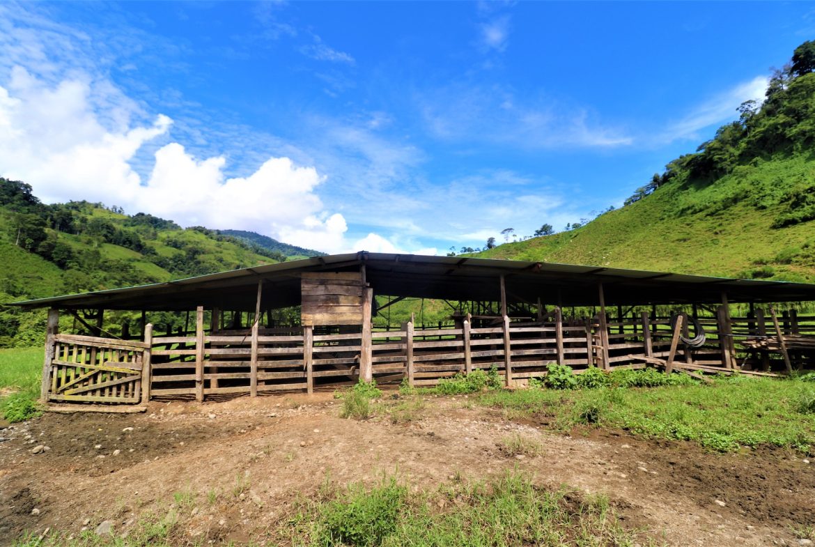 FARM DEVELOPMENT NEAR TO THE RIVER, IN SAVEGRE SAN ISIDRO – 204 ACRES