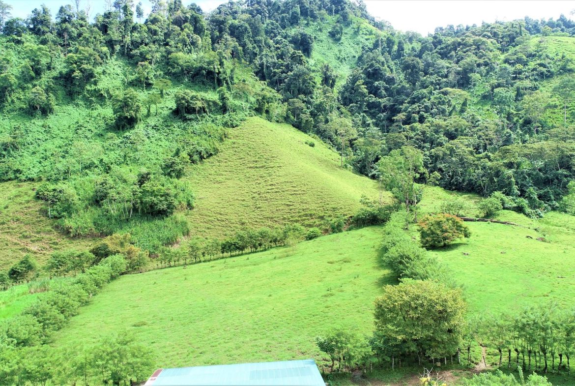 FARM DEVELOPMENT NEAR TO THE RIVER, IN SAVEGRE SAN ISIDRO – 204 ACRES