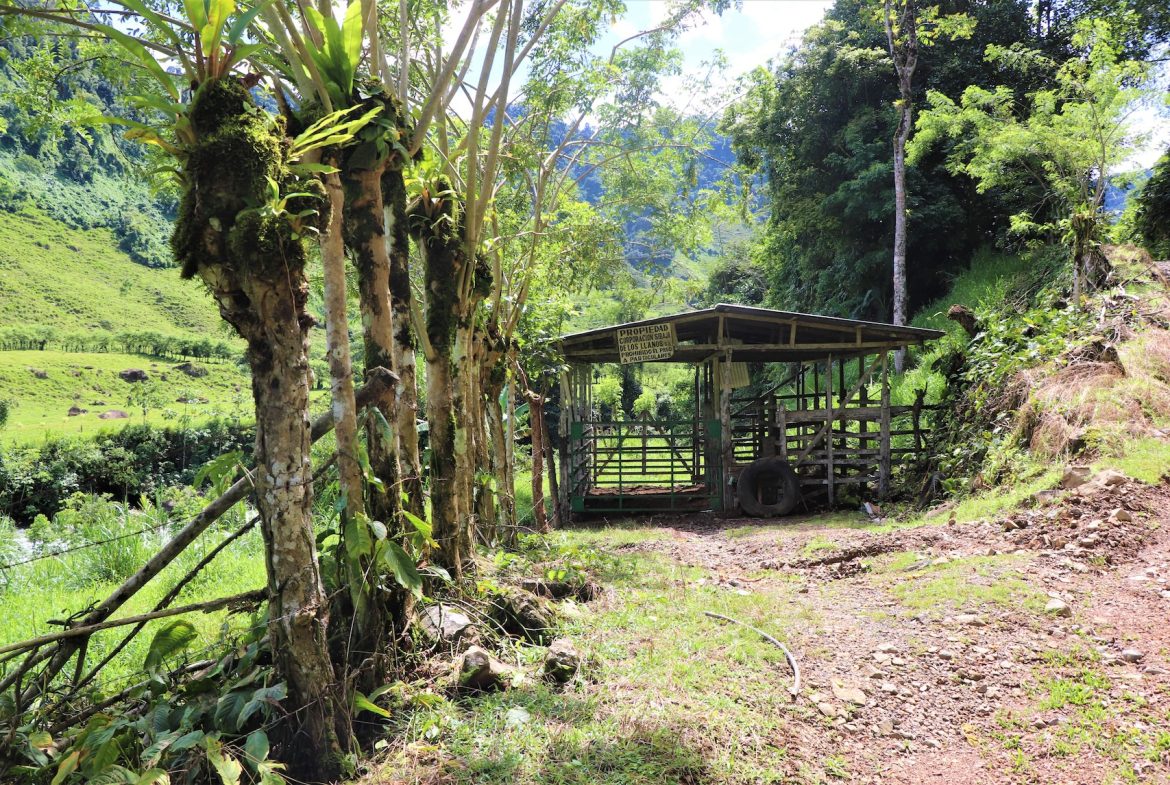 FARM DEVELOPMENT NEAR TO THE RIVER, IN SAVEGRE SAN ISIDRO – 204 ACRES