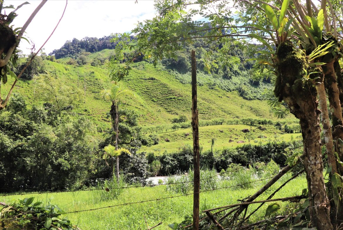 FARM DEVELOPMENT NEAR TO THE RIVER, IN SAVEGRE SAN ISIDRO – 204 ACRES