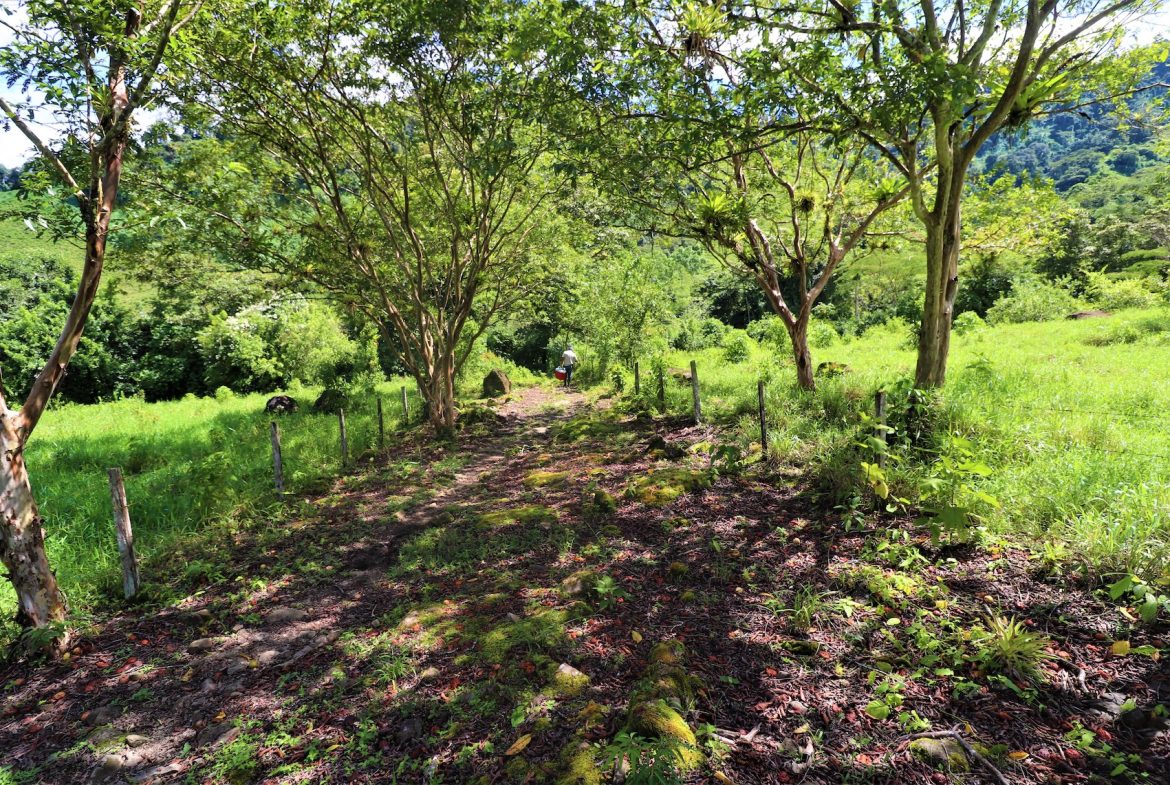FARM DEVELOPMENT NEAR TO THE RIVER, IN SAVEGRE SAN ISIDRO – 204 ACRES