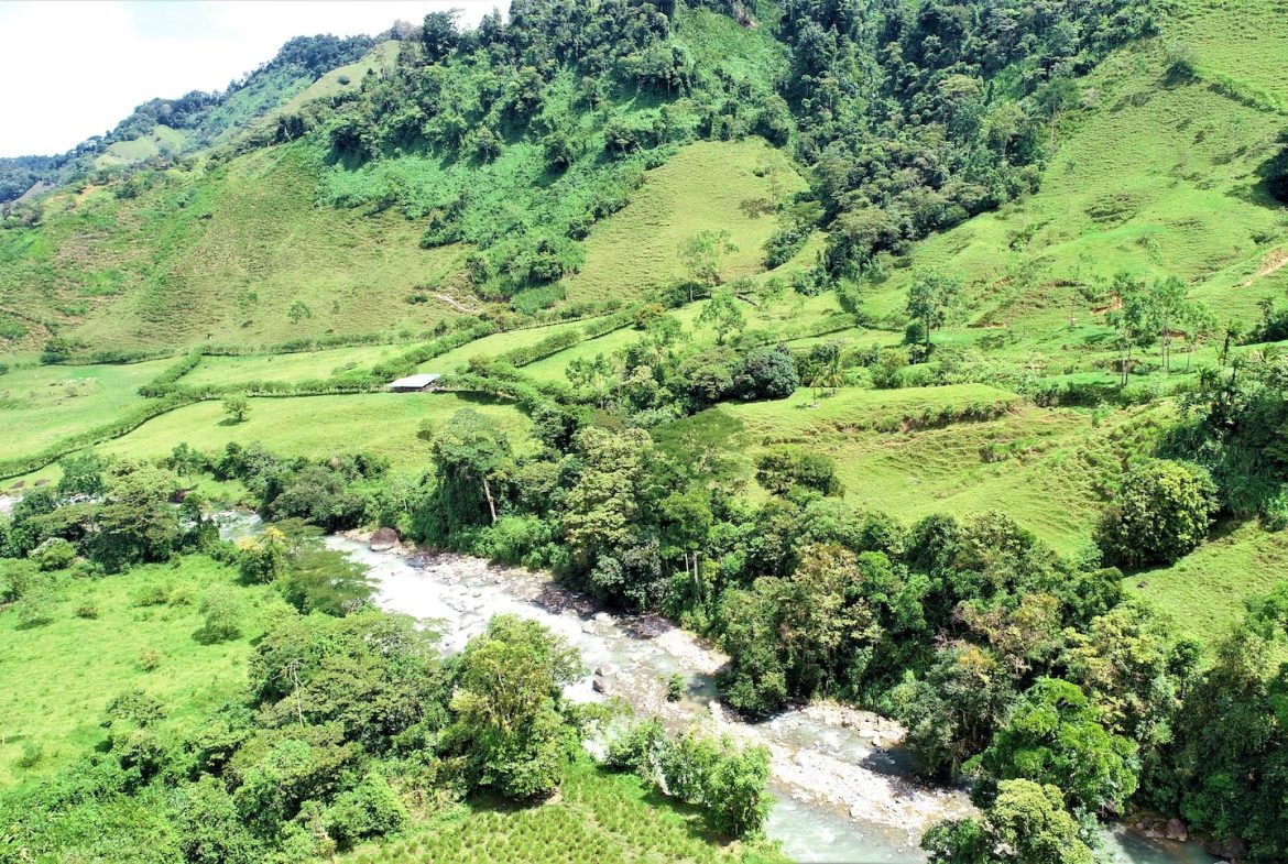 FARM DEVELOPMENT NEAR TO THE RIVER, IN SAVEGRE SAN ISIDRO – 204 ACRES