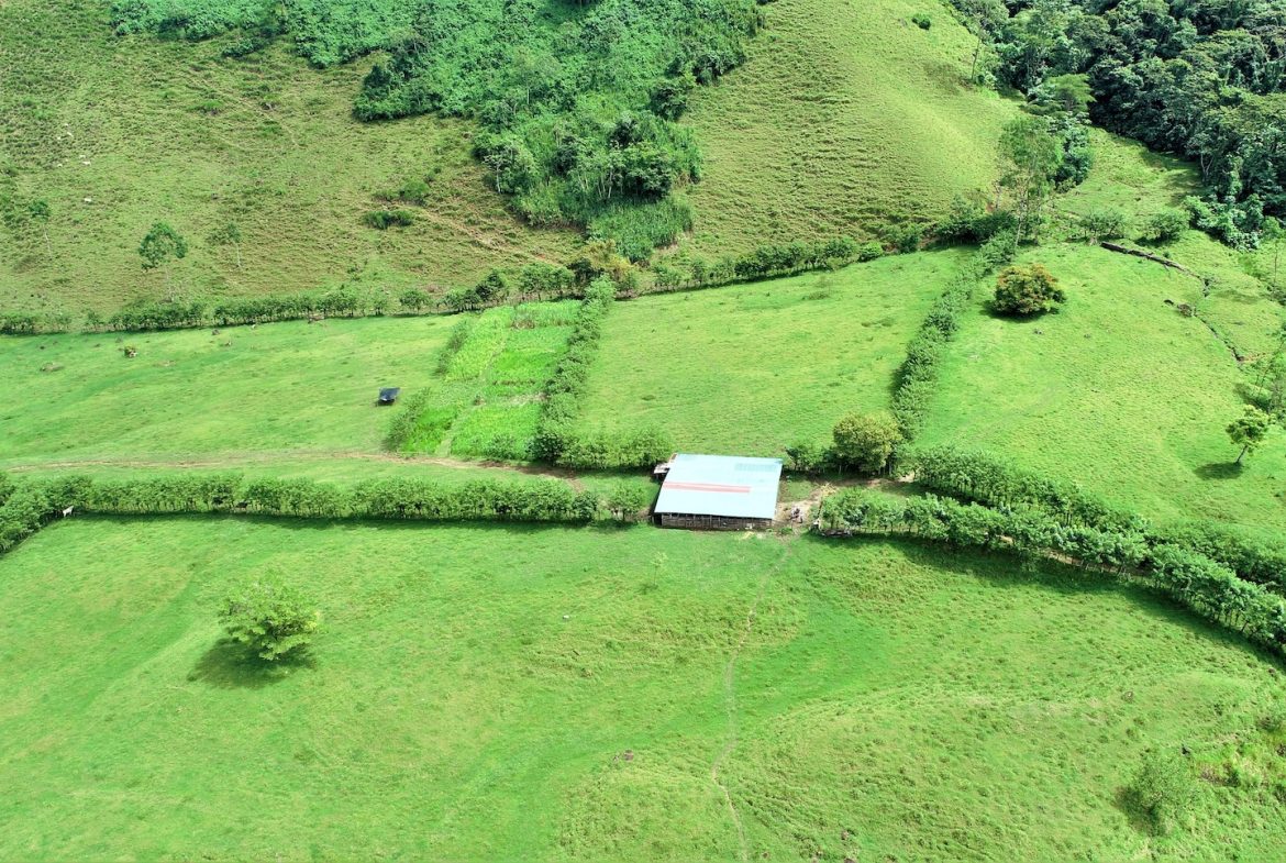 FARM DEVELOPMENT NEAR TO THE RIVER, IN SAVEGRE SAN ISIDRO – 204 ACRES