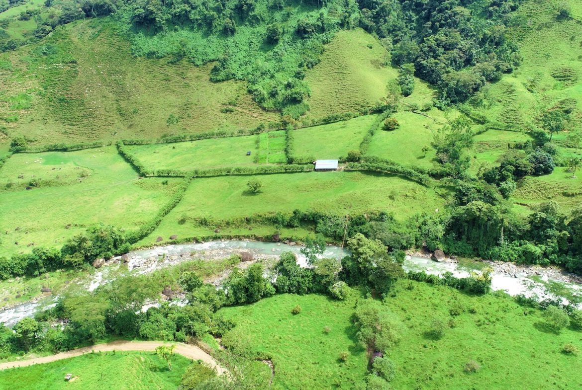 FARM DEVELOPMENT NEAR TO THE RIVER, IN SAVEGRE SAN ISIDRO – 204 ACRES