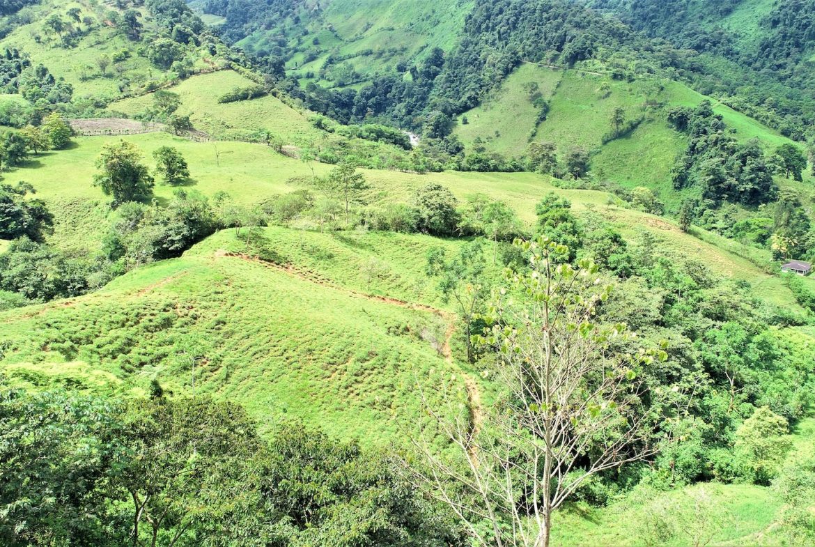 FARM DEVELOPMENT NEAR TO THE RIVER, IN SAVEGRE SAN ISIDRO – 204 ACRES