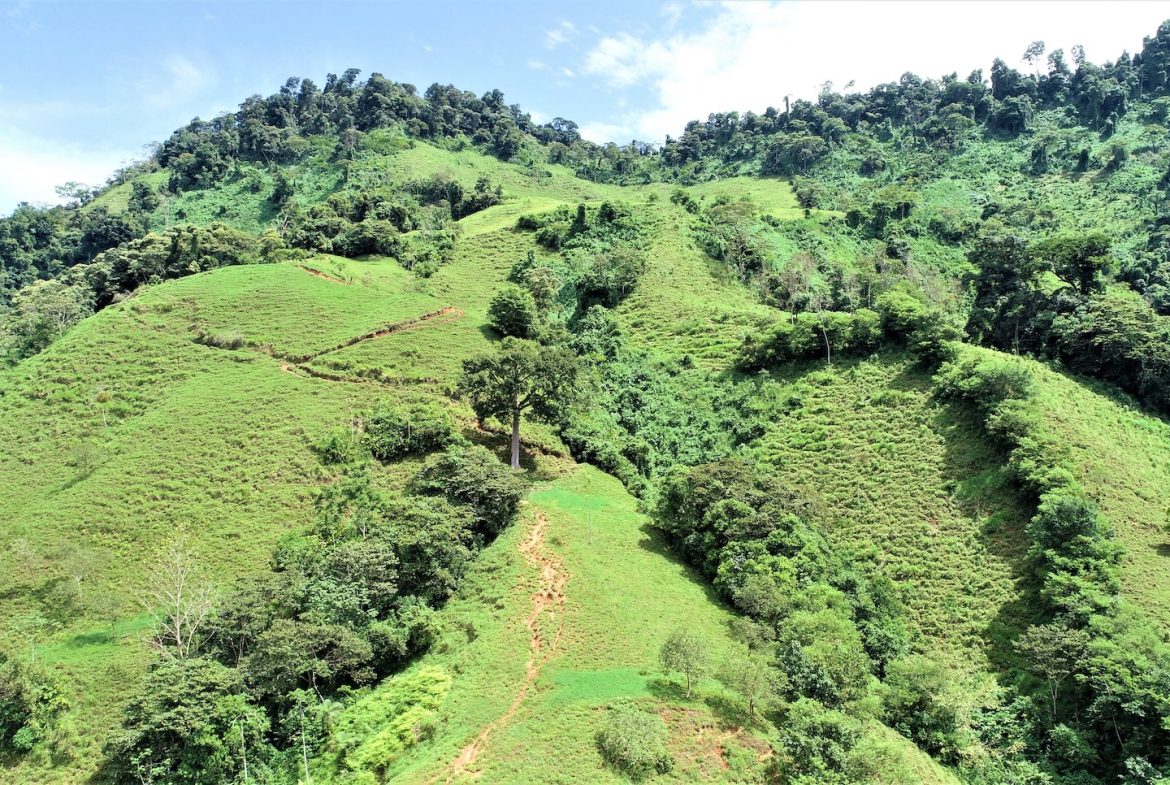 FARM DEVELOPMENT NEAR TO THE RIVER, IN SAVEGRE SAN ISIDRO – 204 ACRES