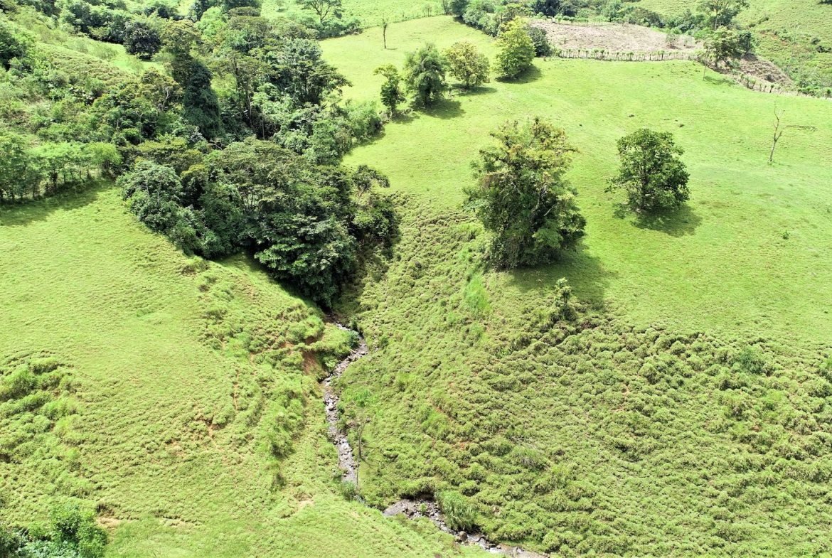 FARM DEVELOPMENT NEAR TO THE RIVER, IN SAVEGRE SAN ISIDRO – 204 ACRES