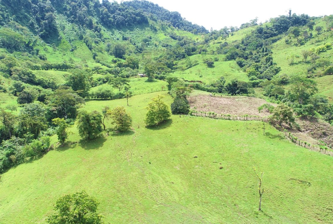 FARM DEVELOPMENT NEAR TO THE RIVER, IN SAVEGRE SAN ISIDRO – 204 ACRES