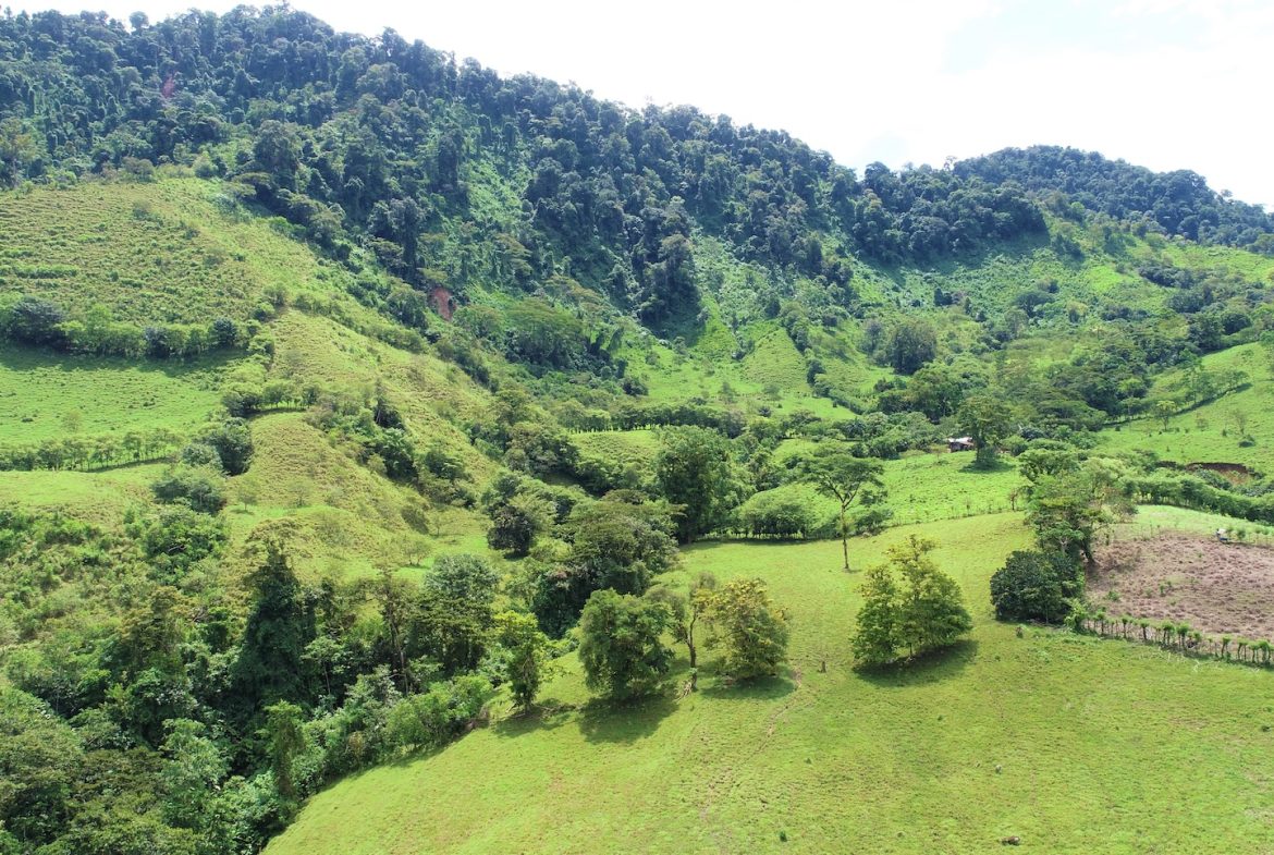 FARM DEVELOPMENT NEAR TO THE RIVER, IN SAVEGRE SAN ISIDRO – 204 ACRES