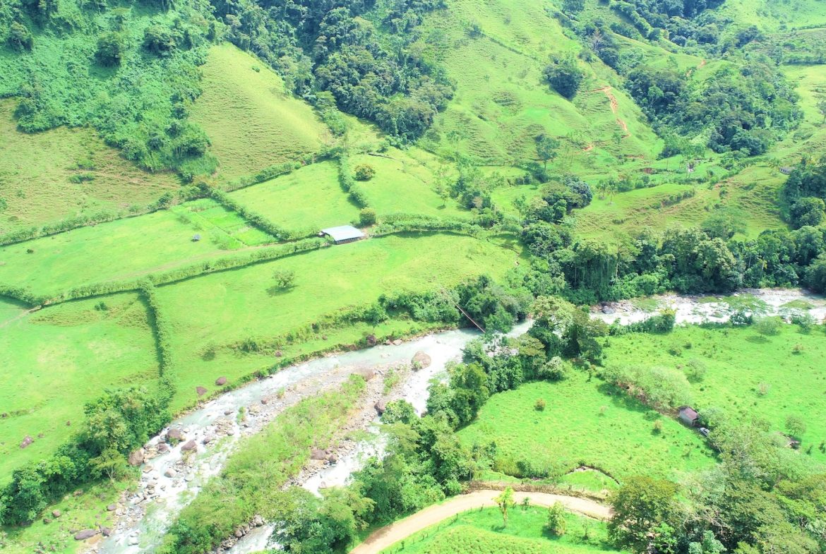FARM DEVELOPMENT NEAR TO THE RIVER, IN SAVEGRE SAN ISIDRO – 204 ACRES