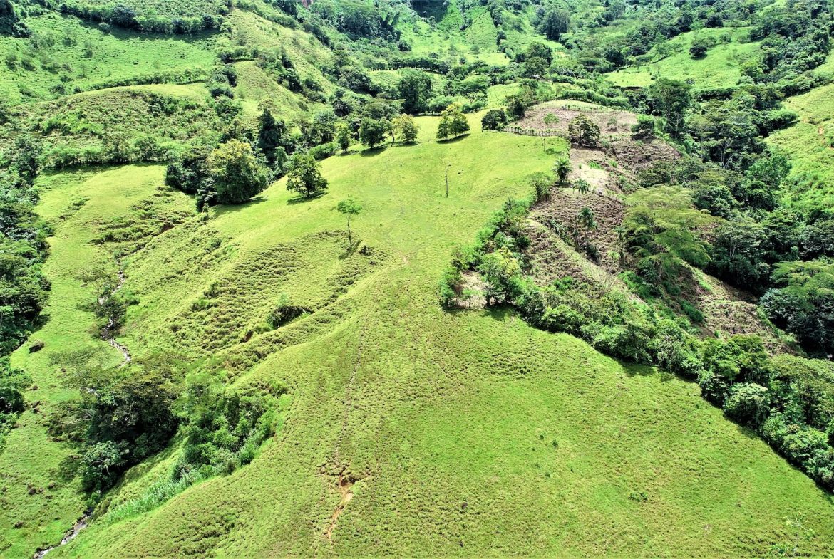 FARM DEVELOPMENT NEAR TO THE RIVER, IN SAVEGRE SAN ISIDRO – 204 ACRES