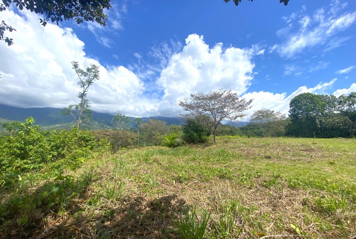 TWO EXCLUSIVE LOTS WITH PANORAMIC OCEAN AND SUNSET VIEWS, IN OJOCHAL – 5.32 ACRES