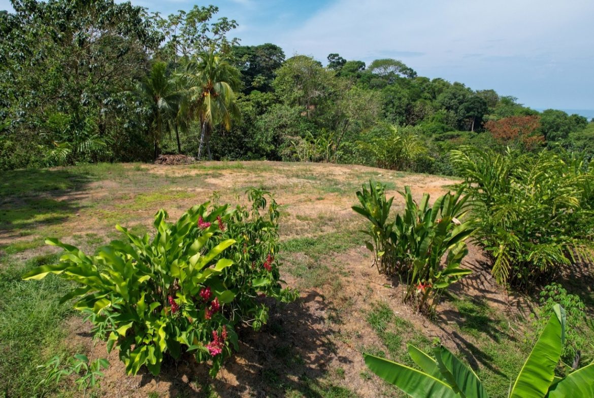 BUILDING PROPERTY WITH MOUNTAIN VIEWS, IN LA COLONIA UVITA – 0.51 ACRES