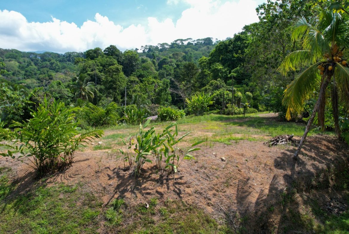 BUILDING PROPERTY WITH MOUNTAIN VIEWS, IN LA COLONIA UVITA – 0.51 ACRES
