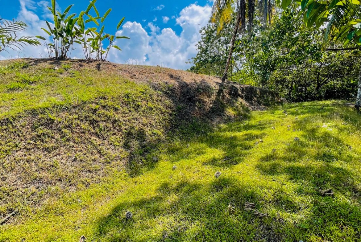 BUILDING PROPERTY WITH MOUNTAIN VIEWS, IN LA COLONIA UVITA – 0.51 ACRES