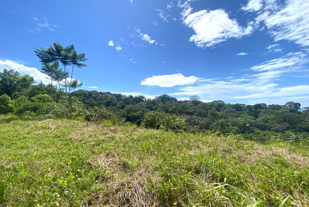 PROPERTY WITH OCEAN VIEWS AND SUNSET, IN OJOCHAL – 3.40 ACRES