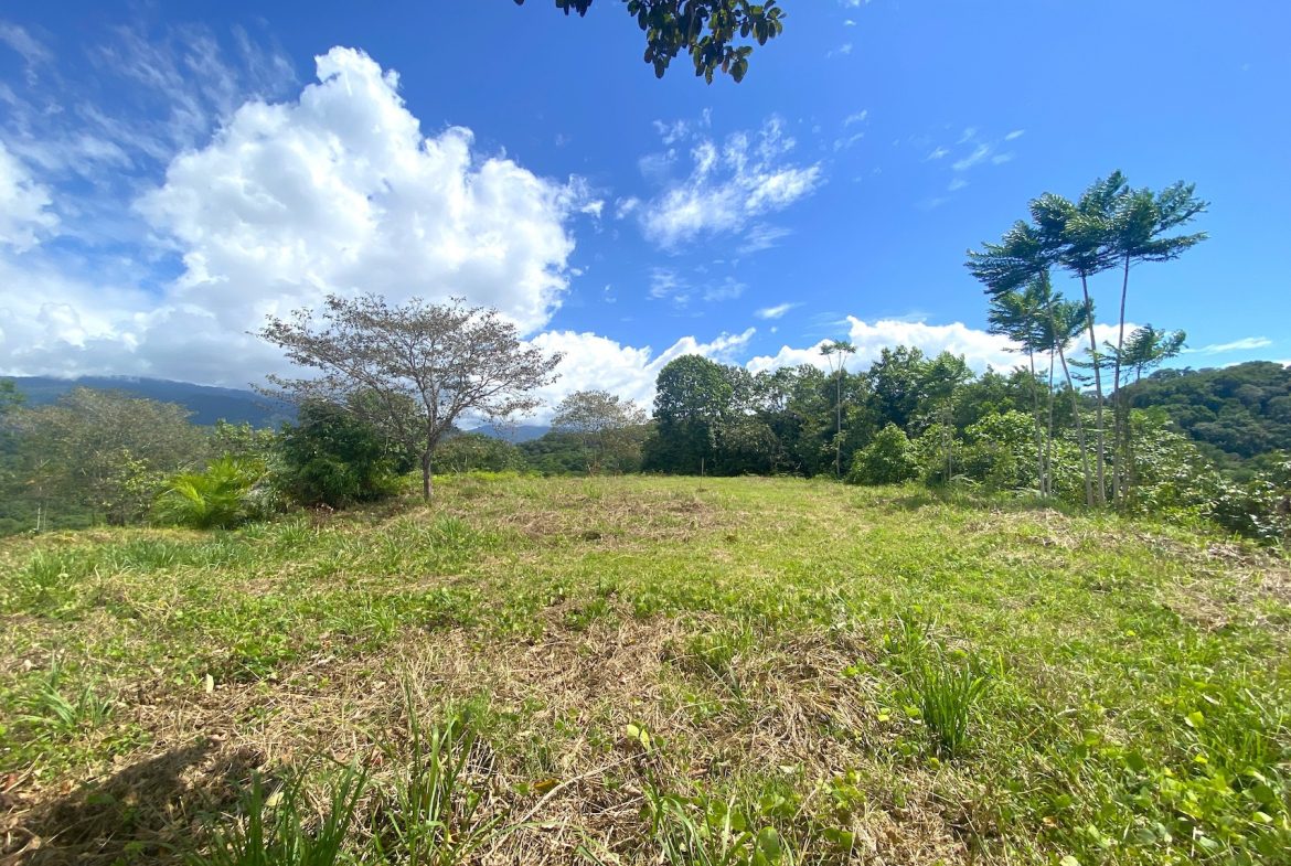 TWO EXCLUSIVE LOTS WITH PANORAMIC OCEAN AND SUNSET VIEWS, IN OJOCHAL – 5.32 ACRES