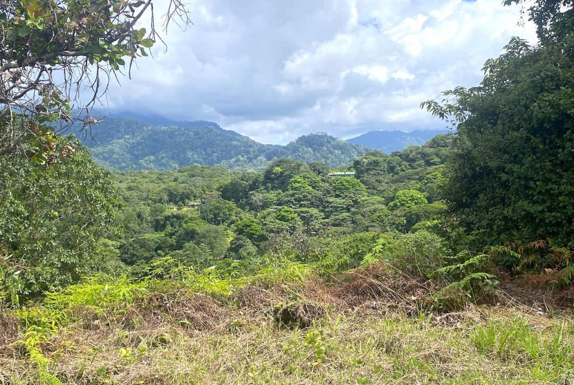 PROPERTY WITH OCEAN VIEWS AND SUNSET, IN OJOCHAL – 3.40 ACRES