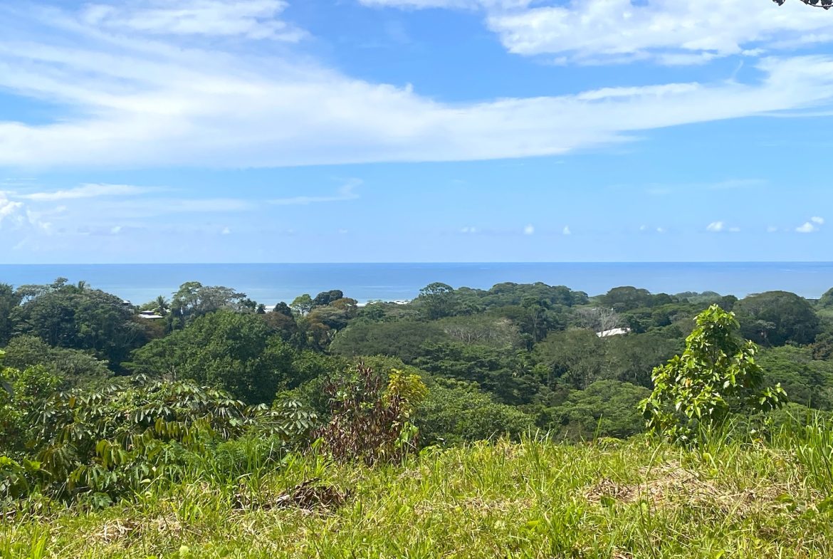 PROPERTY WITH OCEAN VIEWS AND SUNSET, IN OJOCHAL – 3.40 ACRES