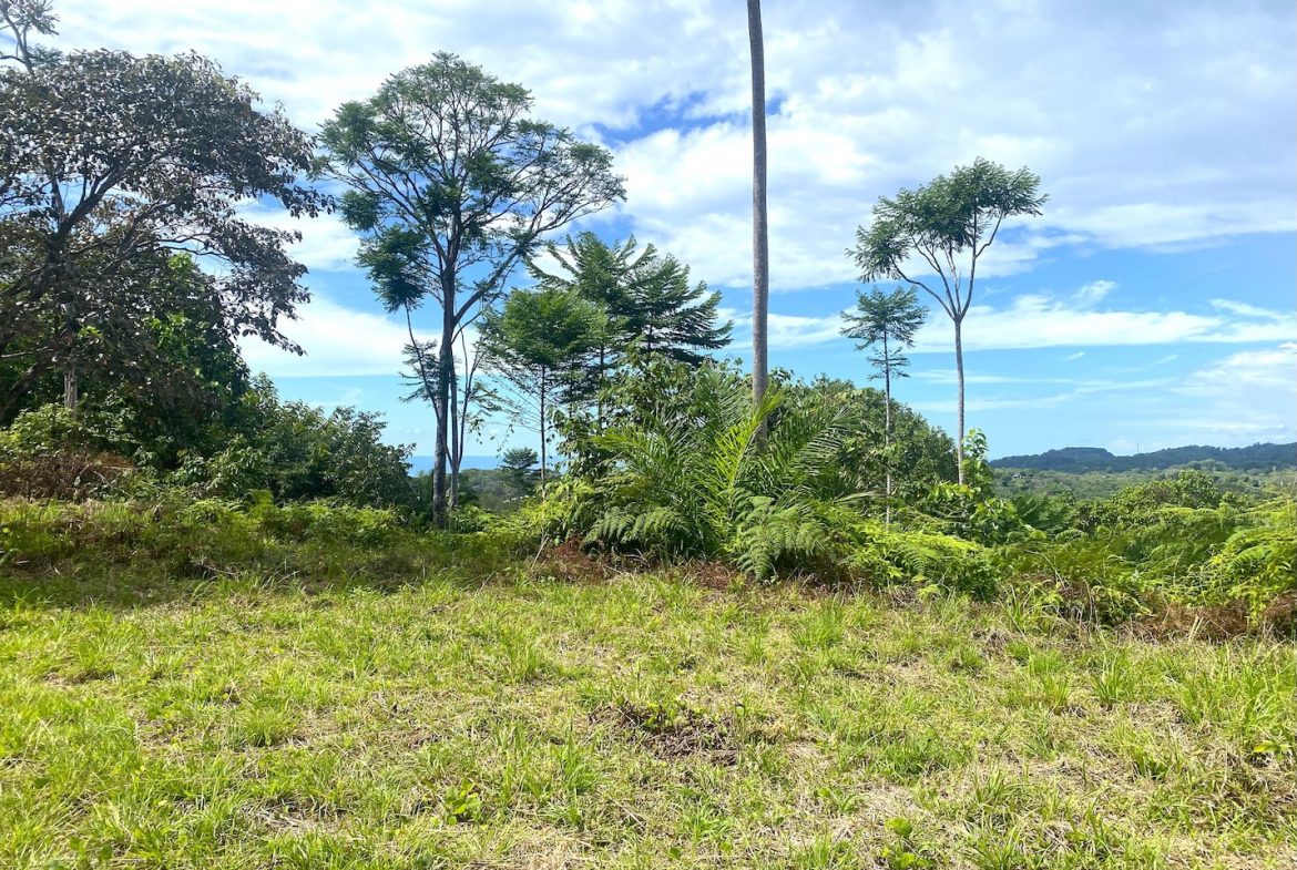 MOUNTAIN PROPERTY WITH OCEAN VIEWS AND SUNSET, IN OJOCHAL – 1.92 ACRES