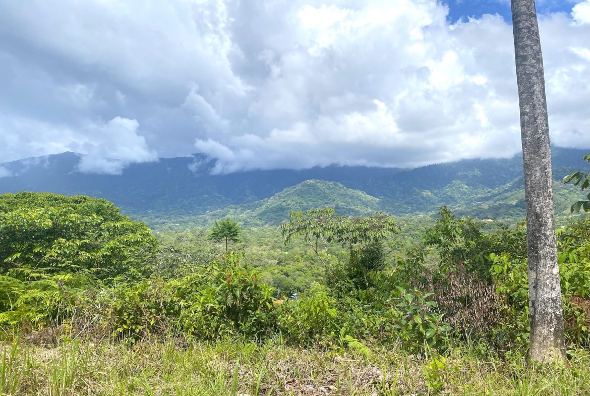 TWO EXCLUSIVE LOTS WITH PANORAMIC OCEAN AND SUNSET VIEWS, IN OJOCHAL – 5.32 ACRES