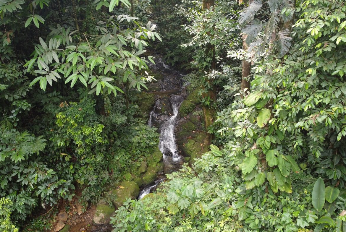HOUSE WITH THREE BEDROOMS AND MOUNTAINS VIEWS, IN OJOCHAL – 1.8 ACRES
