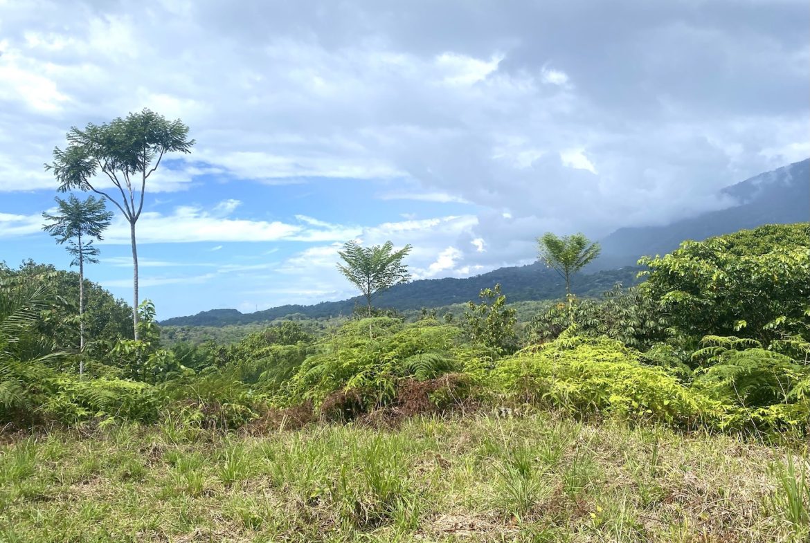 MOUNTAIN PROPERTY WITH OCEAN VIEWS AND SUNSET, IN OJOCHAL – 1.92 ACRES