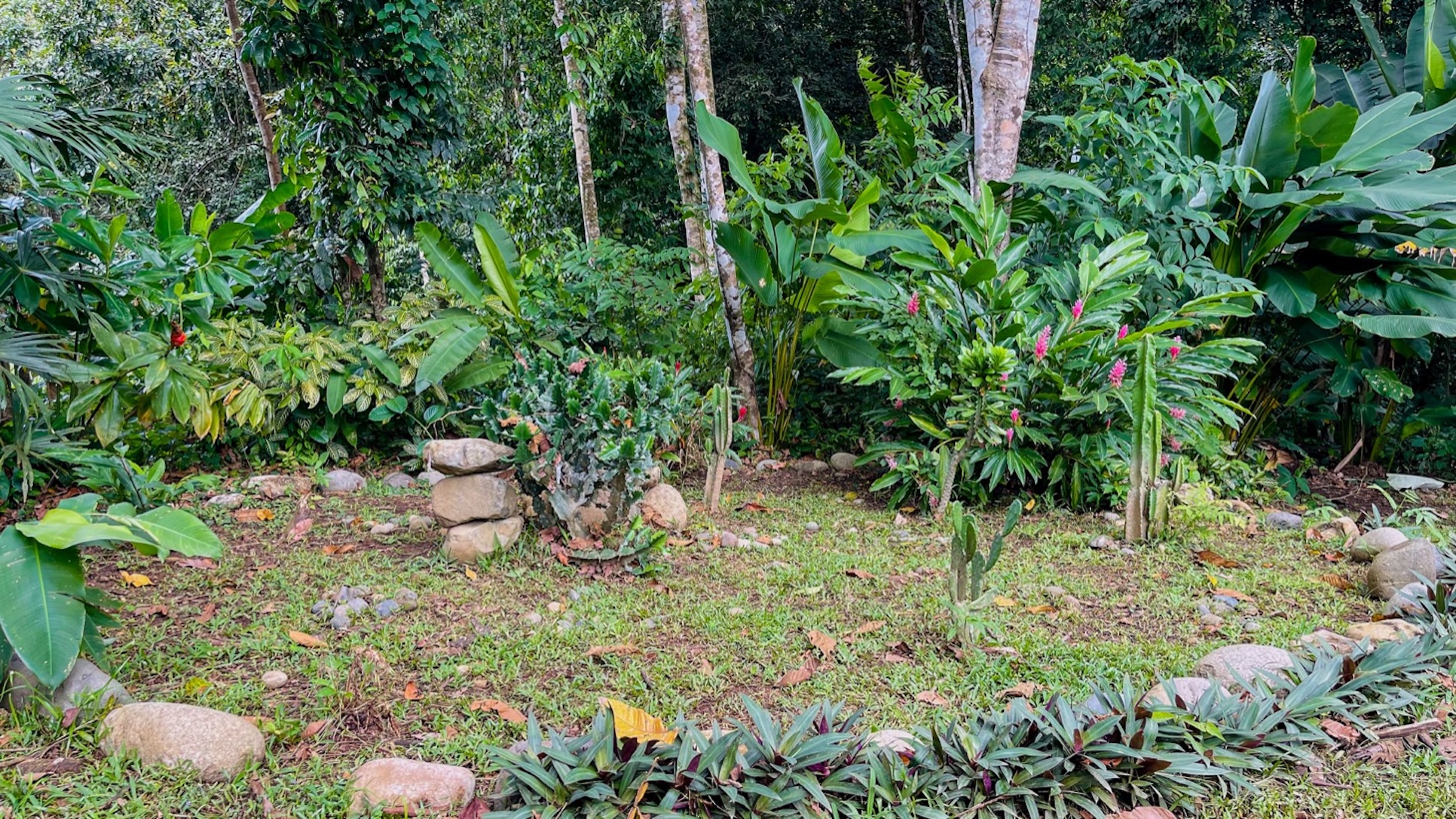 4576 Jungle Retreat in Tres Rios 27