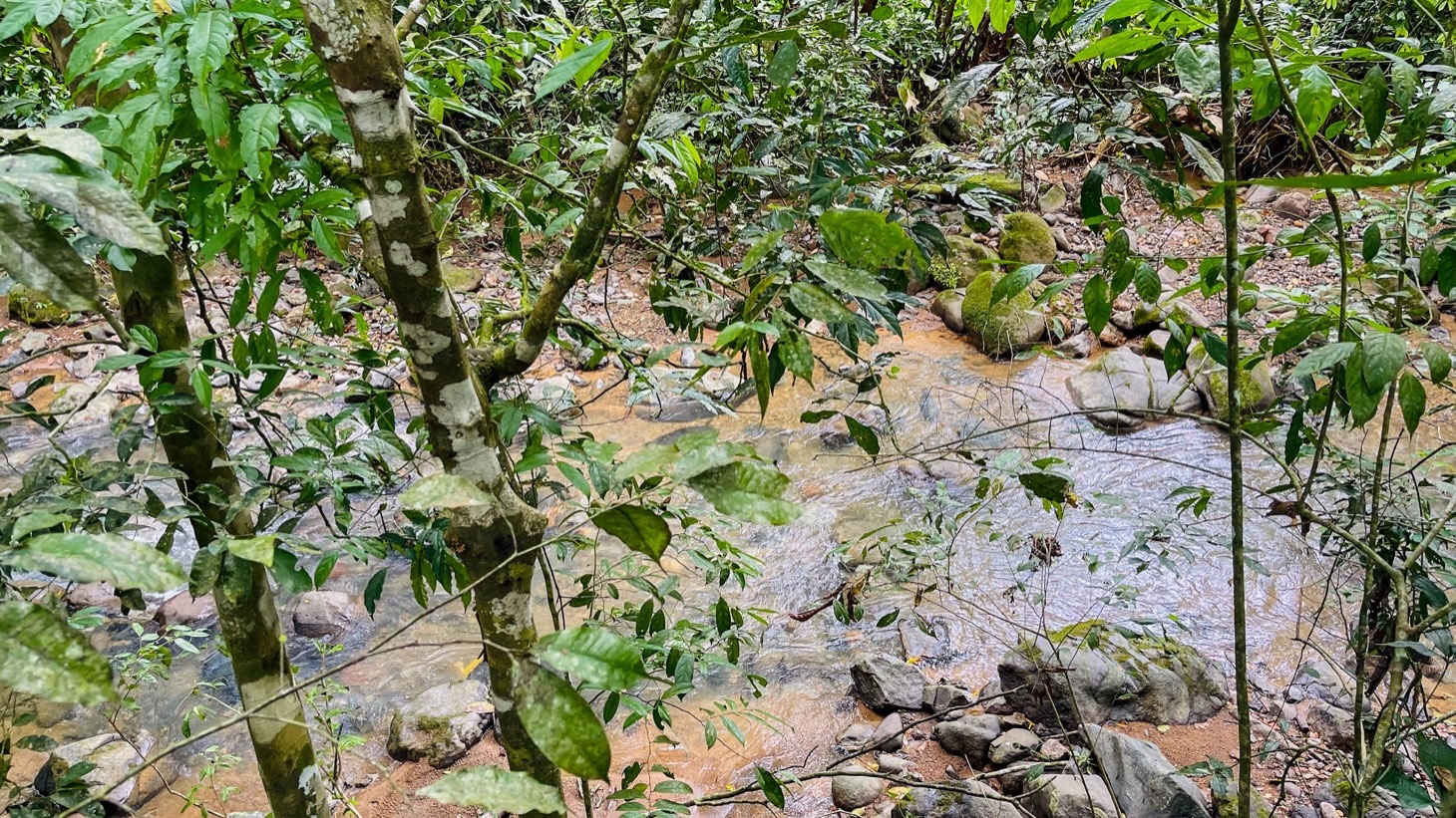 4576 Jungle Retreat in Tres Rios 28