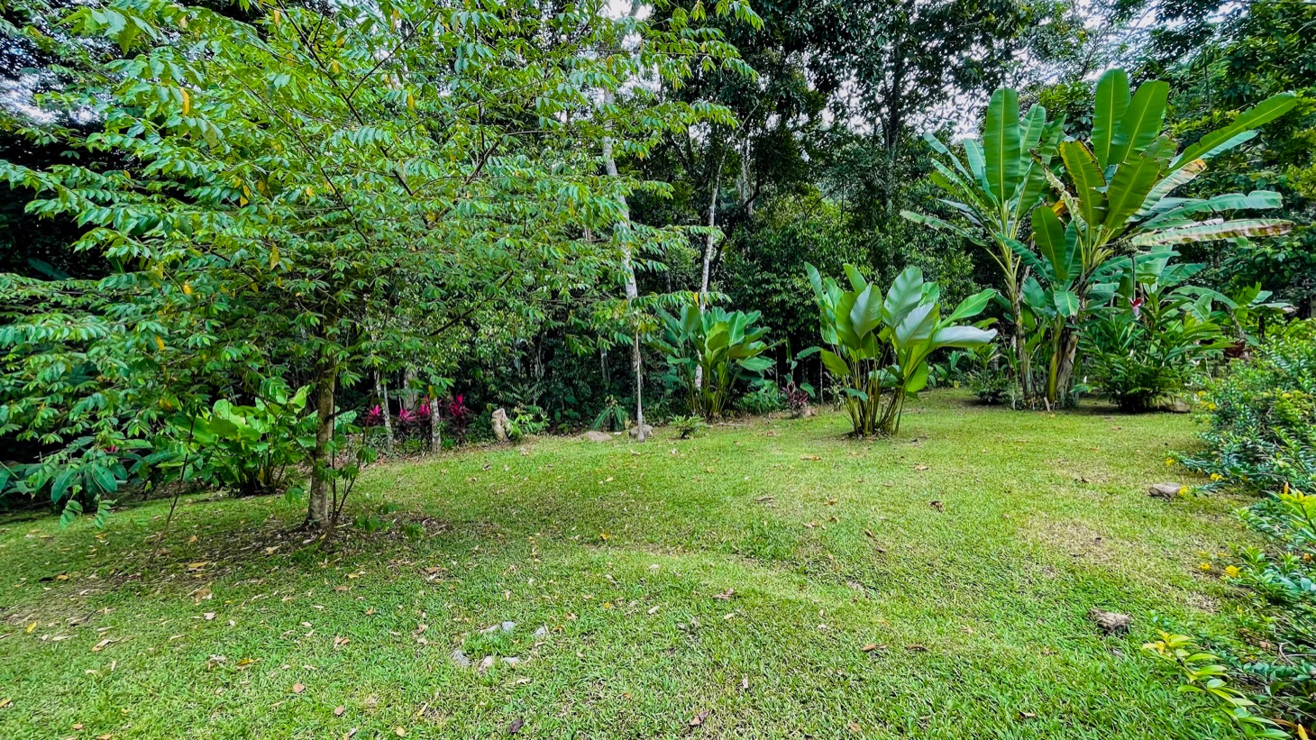 4576 Jungle Retreat in Tres Rios 29